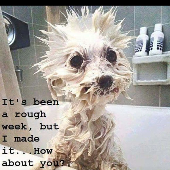 Meet your Posher, Val - Picture 1 of 1